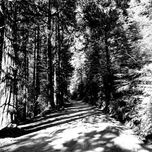 Meet your Posher, Candice